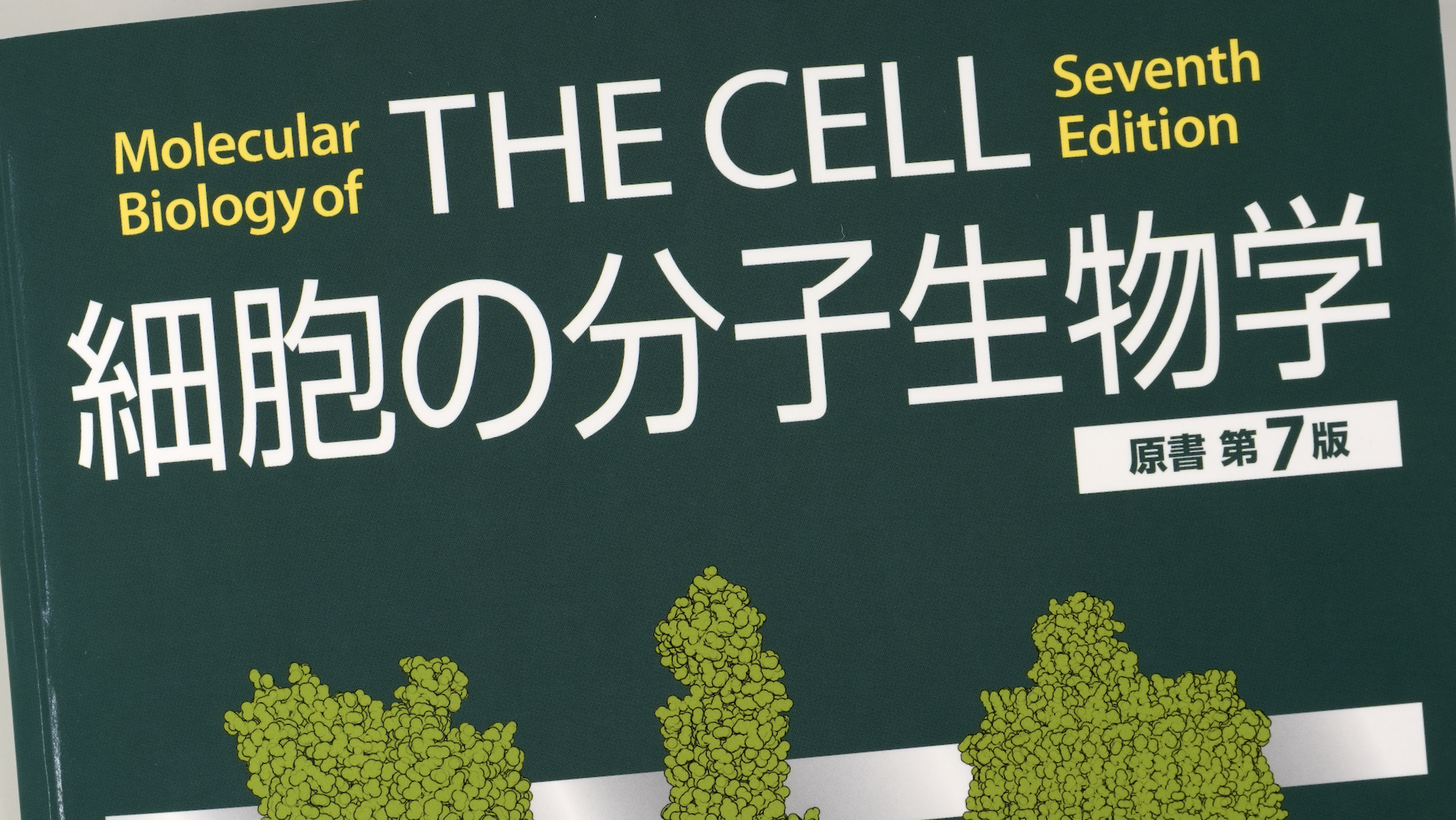細胞の分子生物学 原著第7版 / Anatomy 今日も明日も/細胞の分子生物学