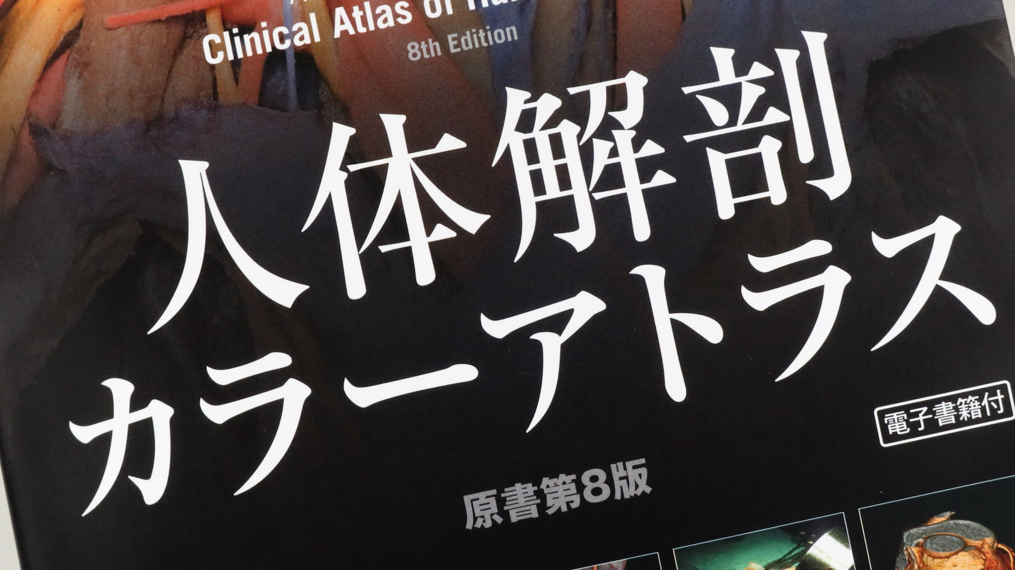 人体解剖カラーアトラス 原書第8版 / Anatomy 今日も明日も/人体解剖