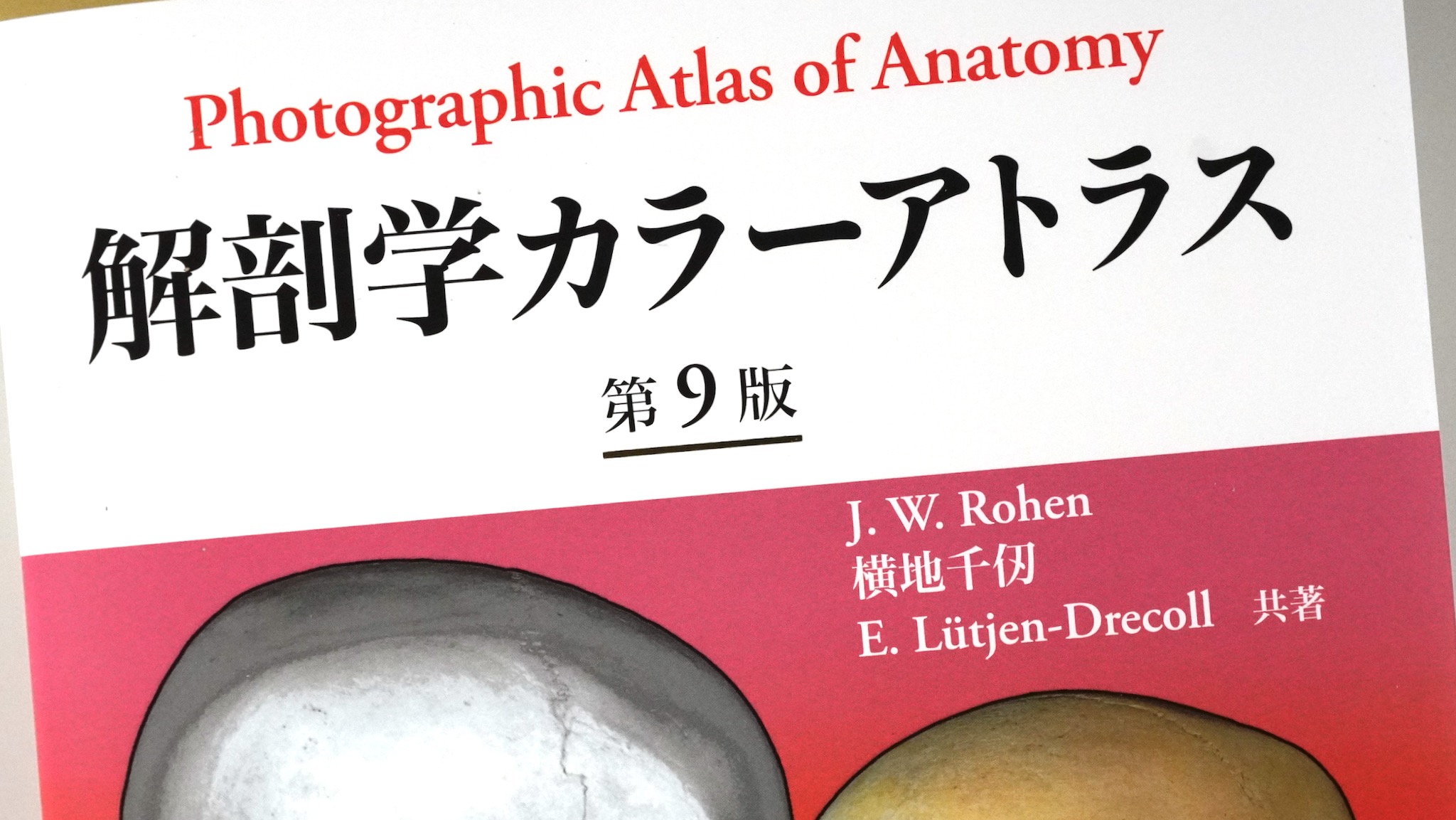 解剖学カラーアトラス 第9版 / Anatomy 今日も明日も/解剖学カラー