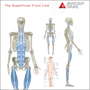 商品 – アナトミー・トレイン日本公式サイト