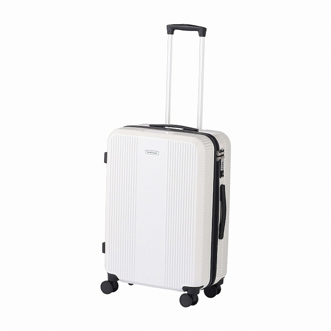 レア】東京事変 デジェル ホワイト トランク 東京事変 トランクケース