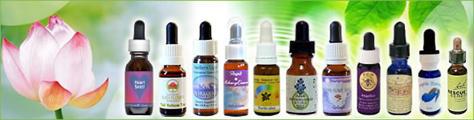 フラワーエッセンス（フラワーレメディ） | ナチュラルセラピーSHOP