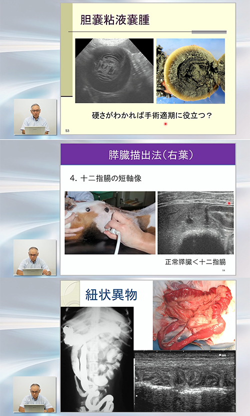 Dr.滝口の腹部エコー読影 エキスパートメソッド | 株式会社 医療情報研究所