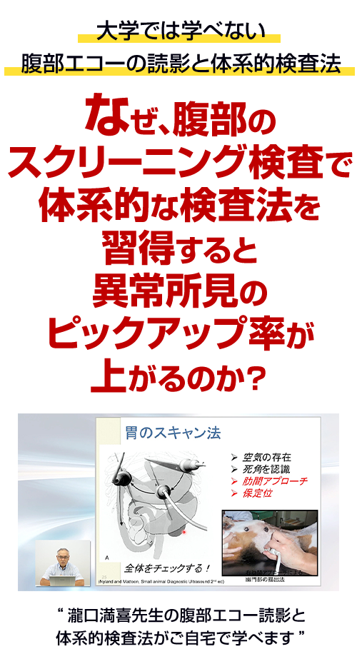 Dr.滝口の腹部エコー読影 エキスパートメソッド | 株式会社 医療情報研究所