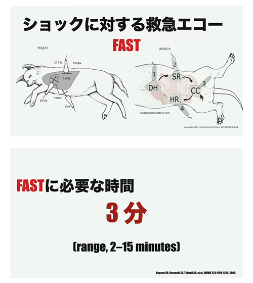 高精度ショック診断救急エコー「FAST」導入法 | 株式会社 医療情報研究所