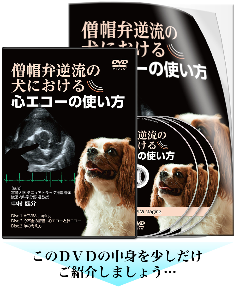 僧帽弁逆流の犬における心エコーの使い方 | 株式会社 医療情報研究所