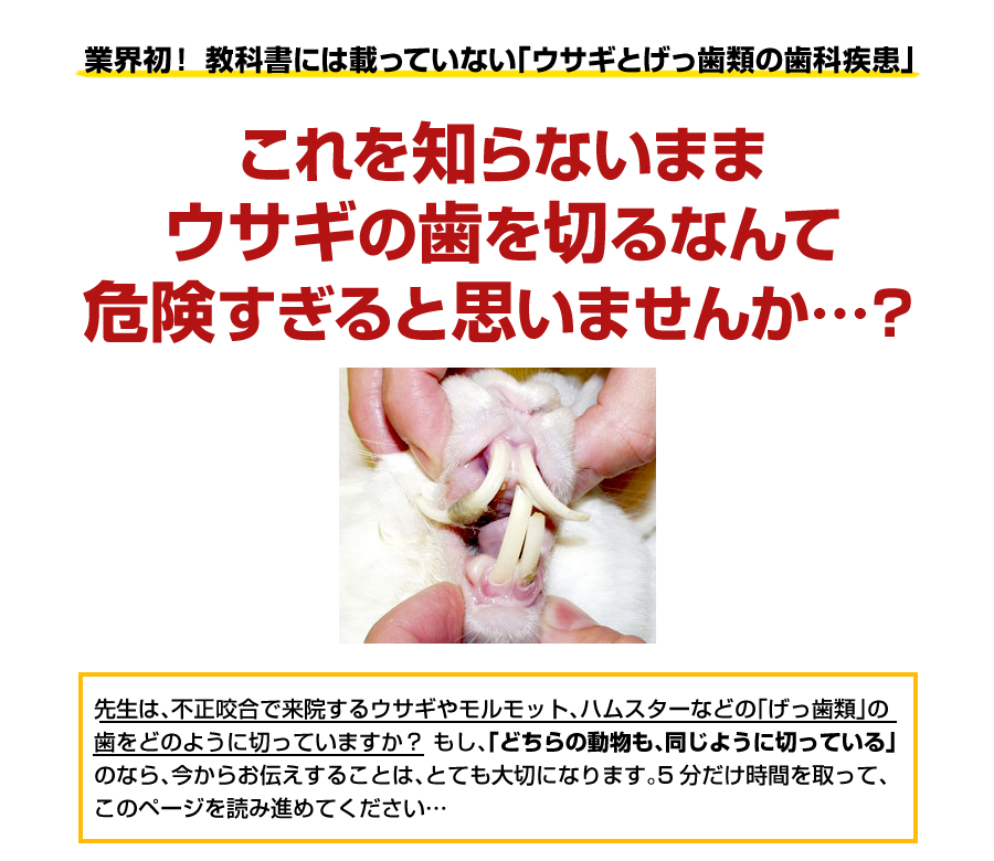 教科書には載ってない！ うさぎとげっ歯類の歯科臨床 | 株式会社 医療