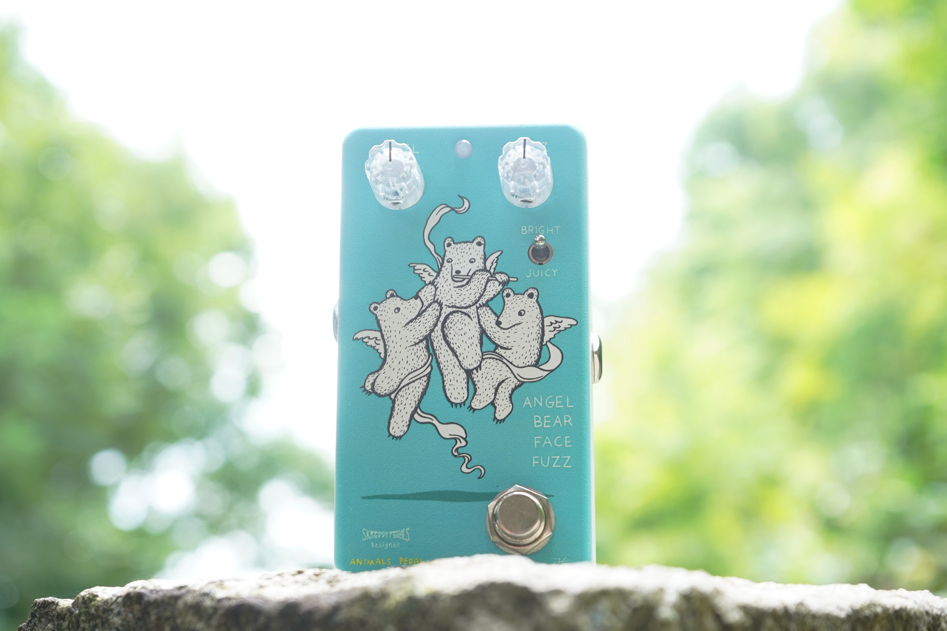 Animals Pedal ANGEL BEAR FACE FUZZ – Animals Pedal USA