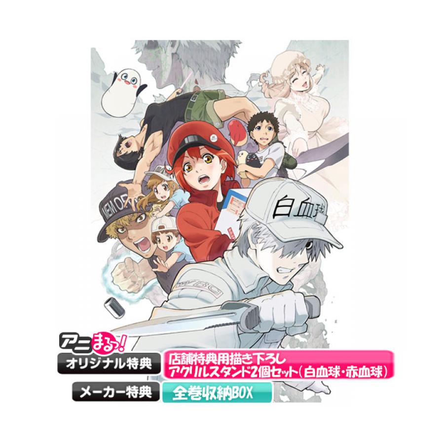 はたらく細胞!!／DVD／全巻セット(アニまるっ！オリジナル特典付き