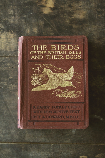 アンティークブック 古書 鳥類図鑑 イギリス 20160602【Antiques