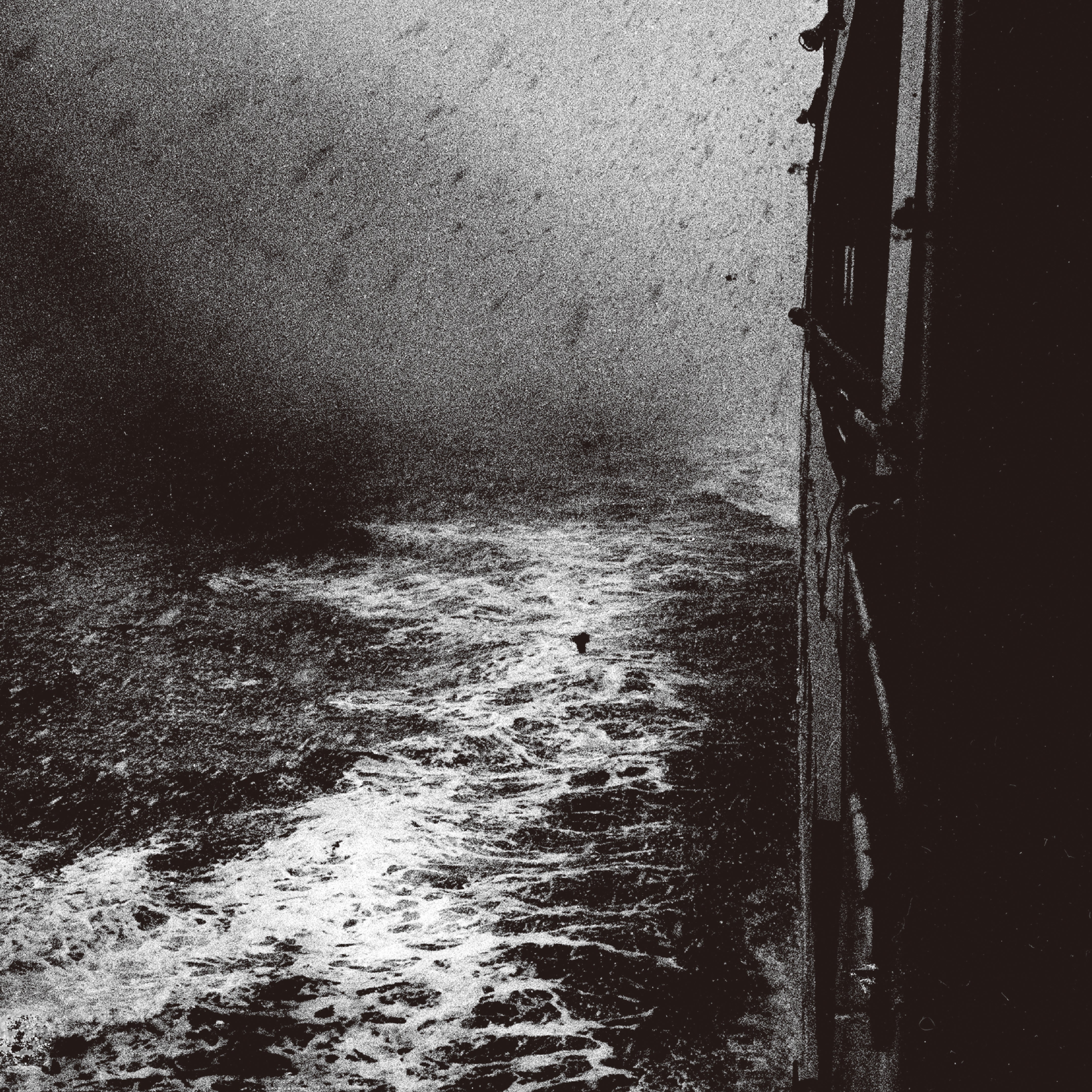 plp8281_new_1031.jpg?v=