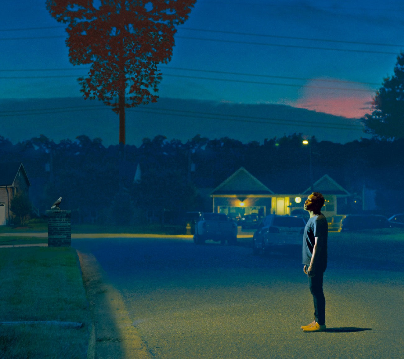 NATE SMITH『Kinfolk 2: See The Birds』CD