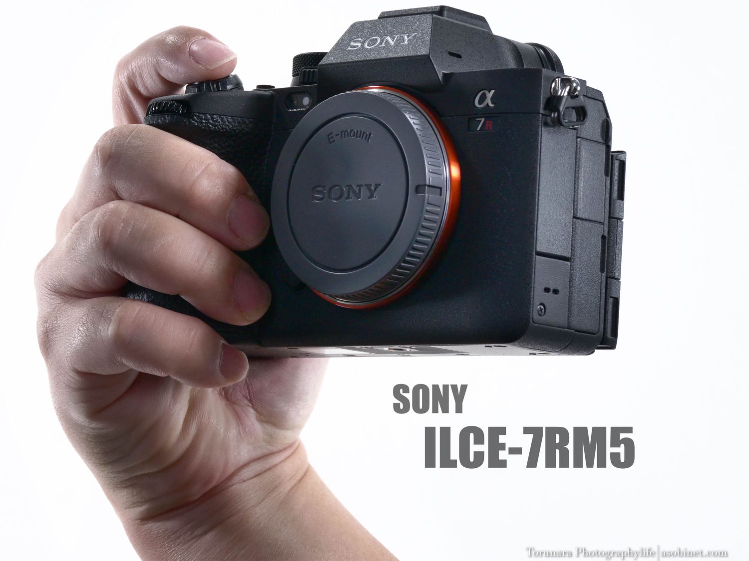 ソニー α7R V ILCE-7RM5 の連写性能とローリングシャッター性能を確認