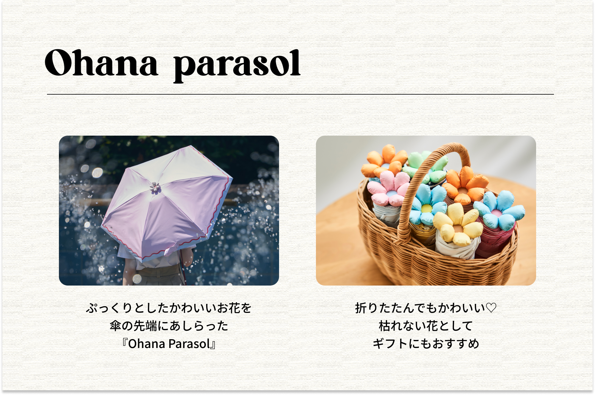 日傘 チェック 《Ohana Parasol》 折りたたみ傘 FW920 | ASCENTE