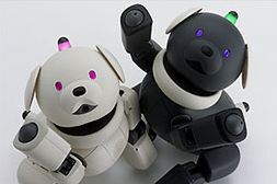 ASCII.jp：ソニー、エンターテインメントロボット“AIBO”に“ラッテ”と