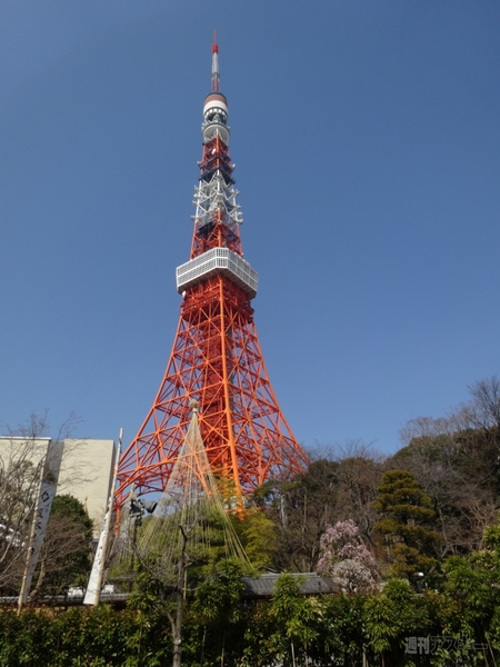 光学20倍ズームで最小最軽量ソニー『サイバーショット DSC-WX300