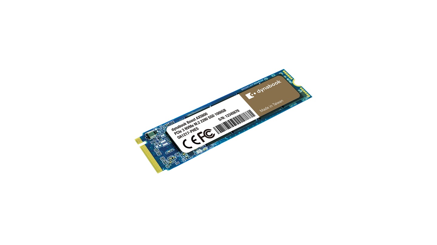 Boost AX5600 PCIe 3 NVMe | Dynabook