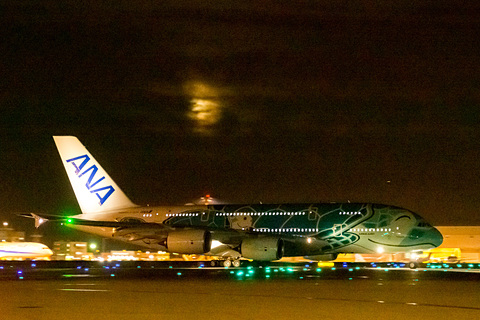 日本とハワイを笑顔で結ぶ。ANA A380型機「FLYING HONU（空飛ぶ