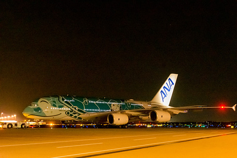 日本とハワイを笑顔で結ぶ。ANA A380型機「FLYING HONU（空飛ぶ