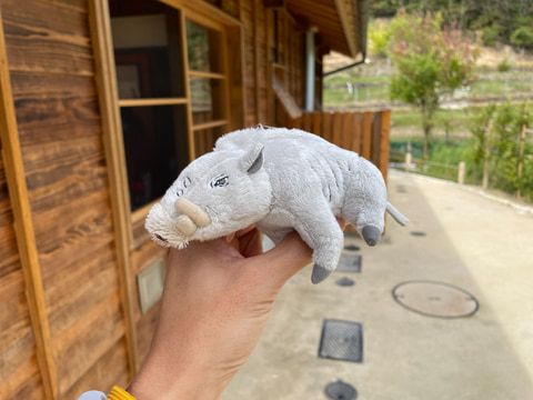 ジブリパーク】おっことぬし＆タタリ神がぬいぐるみに！ 「もののけの