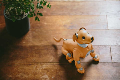 aiboの新しい仲間は「キャラメル・ブリュレ」。2020年新色 - Impress Watch