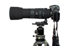 伊達淳一のレンズが欲しいッ！：シグマ「APO 150-500mm F5-6.3 DG OS