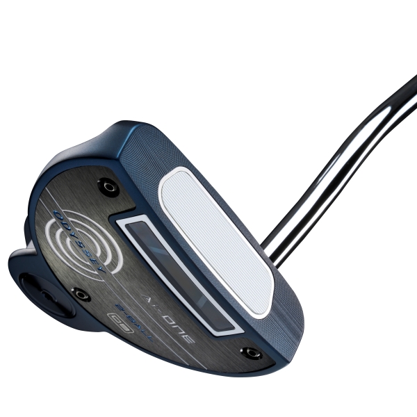 Ai-ONE 2-BALL DB パター | ゴルフギアカタログ