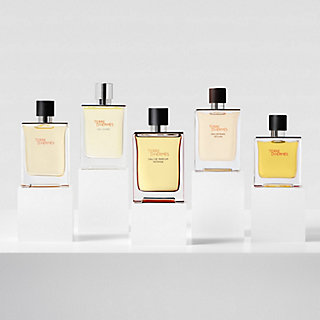 terre-d-hermes-eau-de-toilette