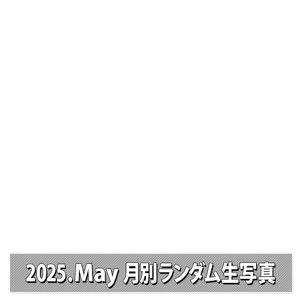 NMB48 OFFICIAL GOODS STORE