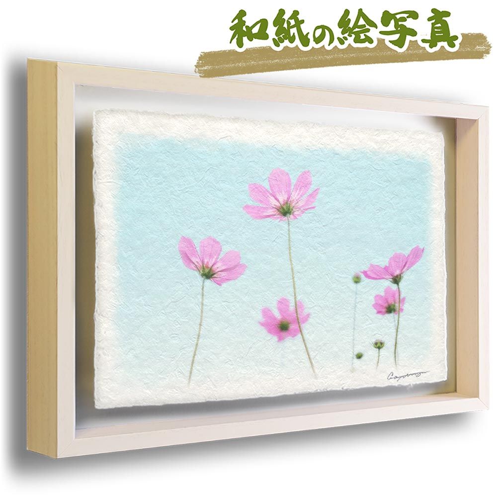 川島眞佐「石部桜」M50号油彩,会津の有名桜,見事な枝ぶり描写,晴れやか