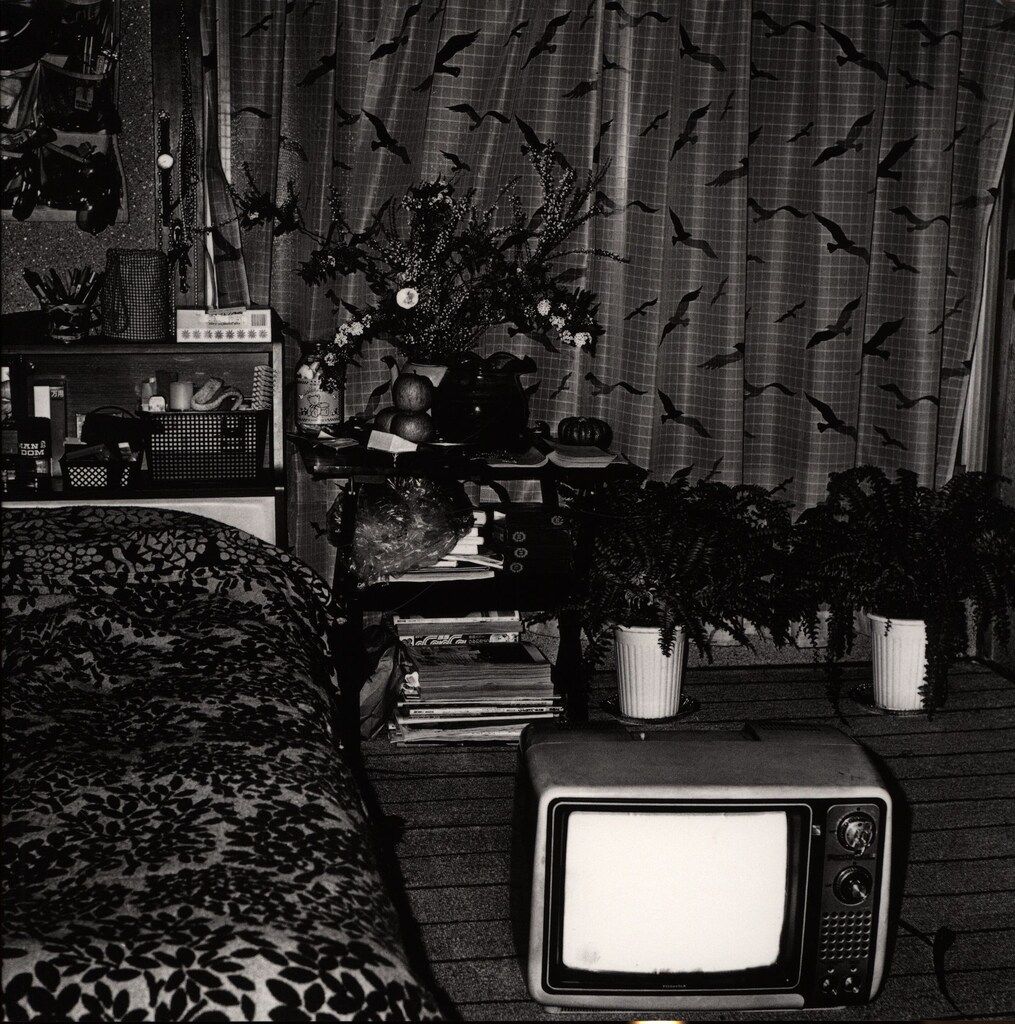 森山大道 MORIYAMA ZOO NO.1 - メルカリ