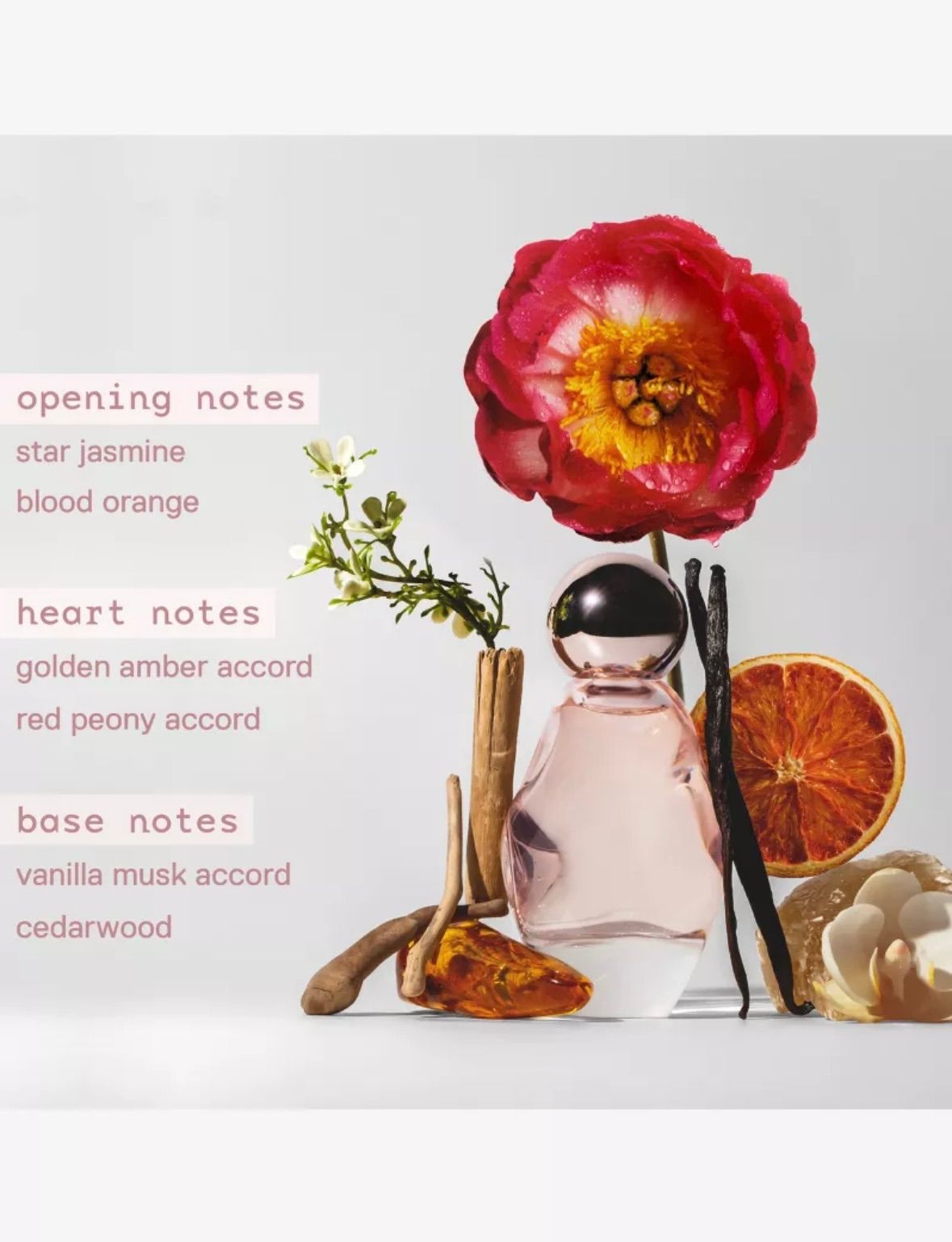 Cosmic Kylie Jenner ♡ 香水 50ml 新作 日本未発売 - メルカリ