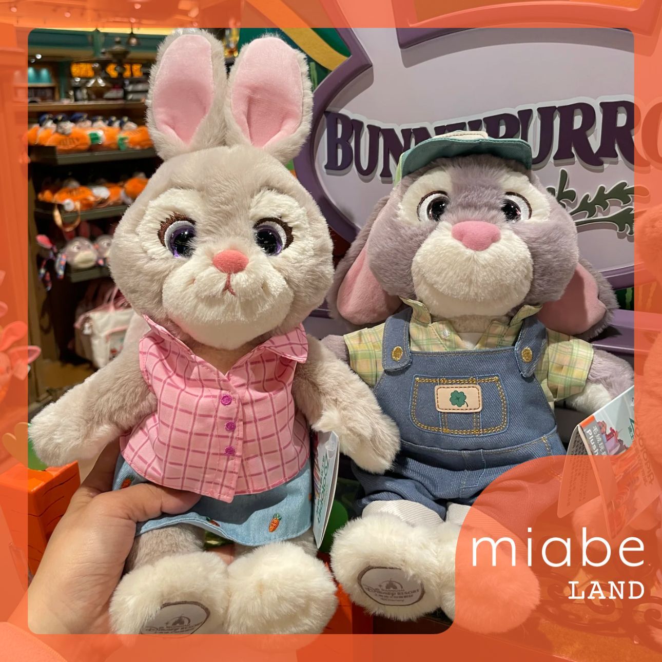 Group B｜10~15営業日国内倉庫発送｜上海ディズニー公式グッズ専門