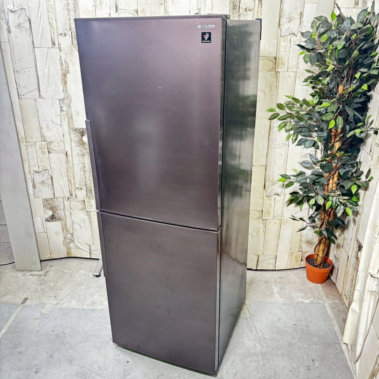 専用【2021年製】 SHARP シャープ SJ-PD28G-T ノンフロン冷凍冷蔵庫