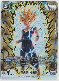 孫悟飯：少年期 SR☆ SRパラレル ドラゴンボールフュージョンワールド