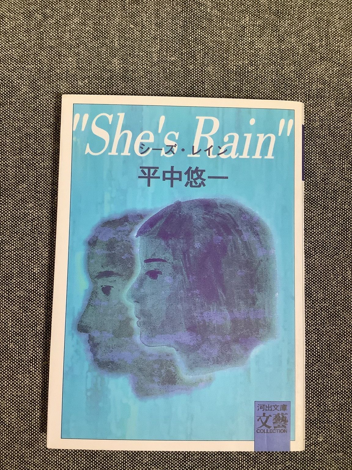 シーズ・レイン 平中 悠一 (著) 河出文庫 1990年出版 - メルカリ