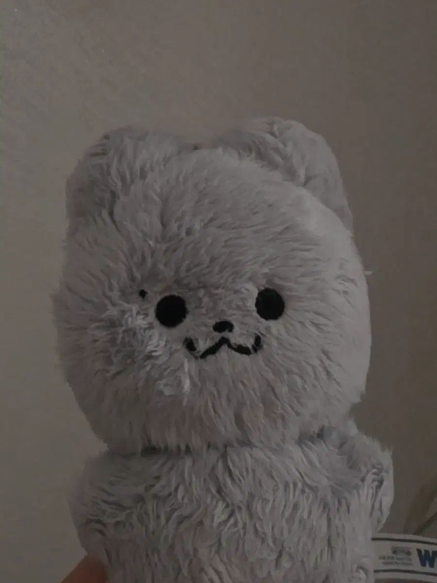 姉さん、私はTHE BOYZ(ザ・ボーイズ・ドボイズ)のジュヨン ぬいぐるみ