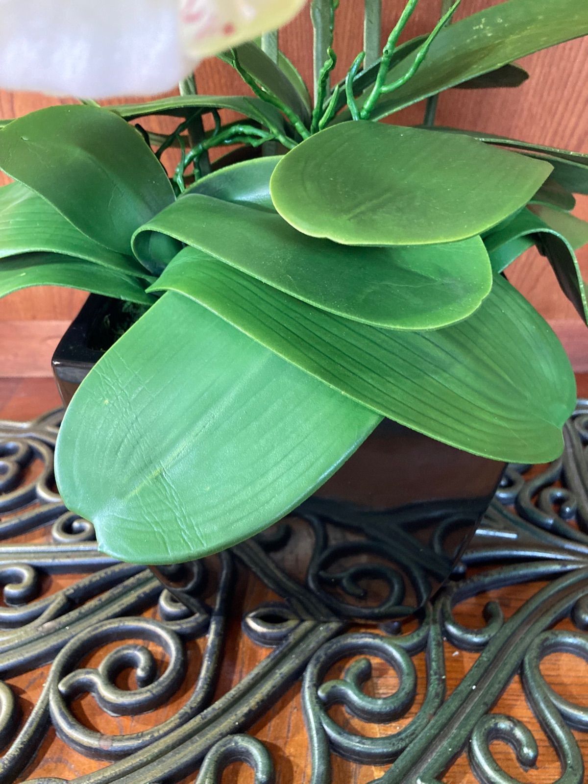 光触媒 人工観葉植物 ウォールグリーン フェイクグリーン リアル胡蝶蘭