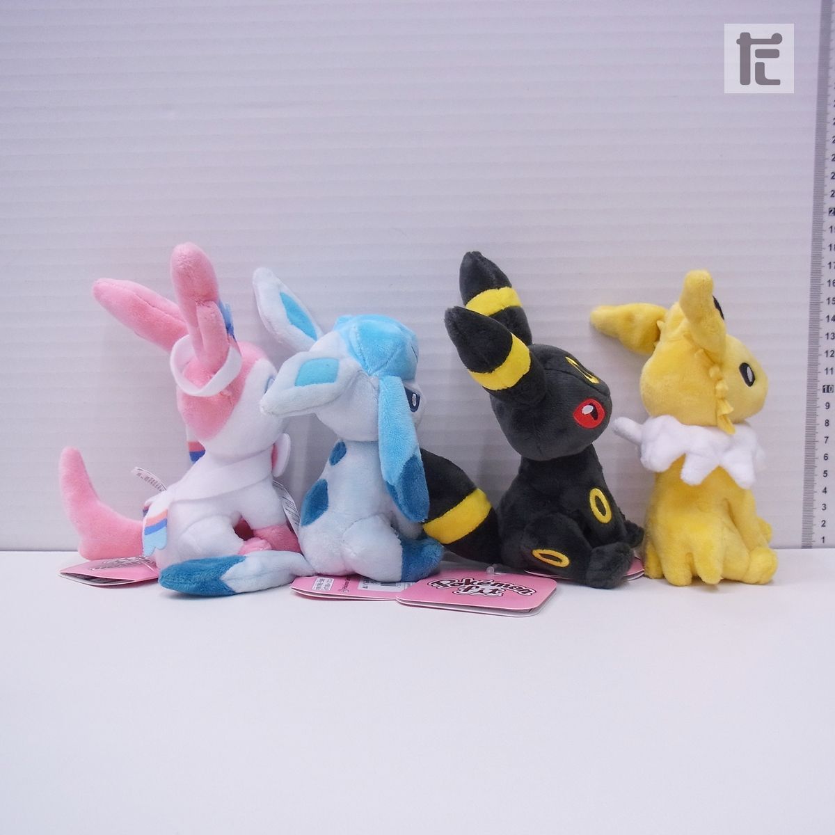 ポケモンセンター ポケモンタイム ブイズセット ポケモンセンター