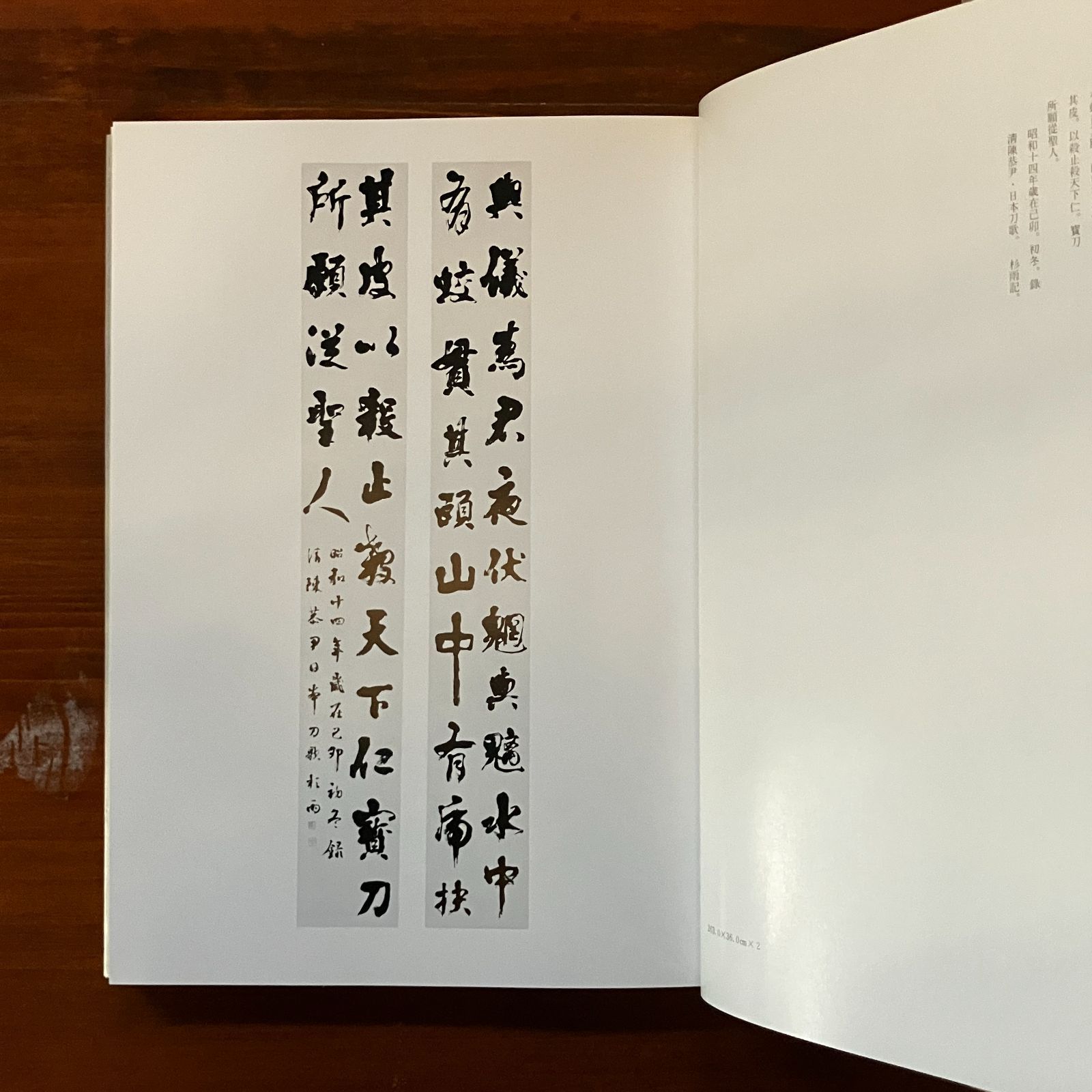 青山青雨の書道本 青山青雨の書道本 青山杉雨（1912-1993