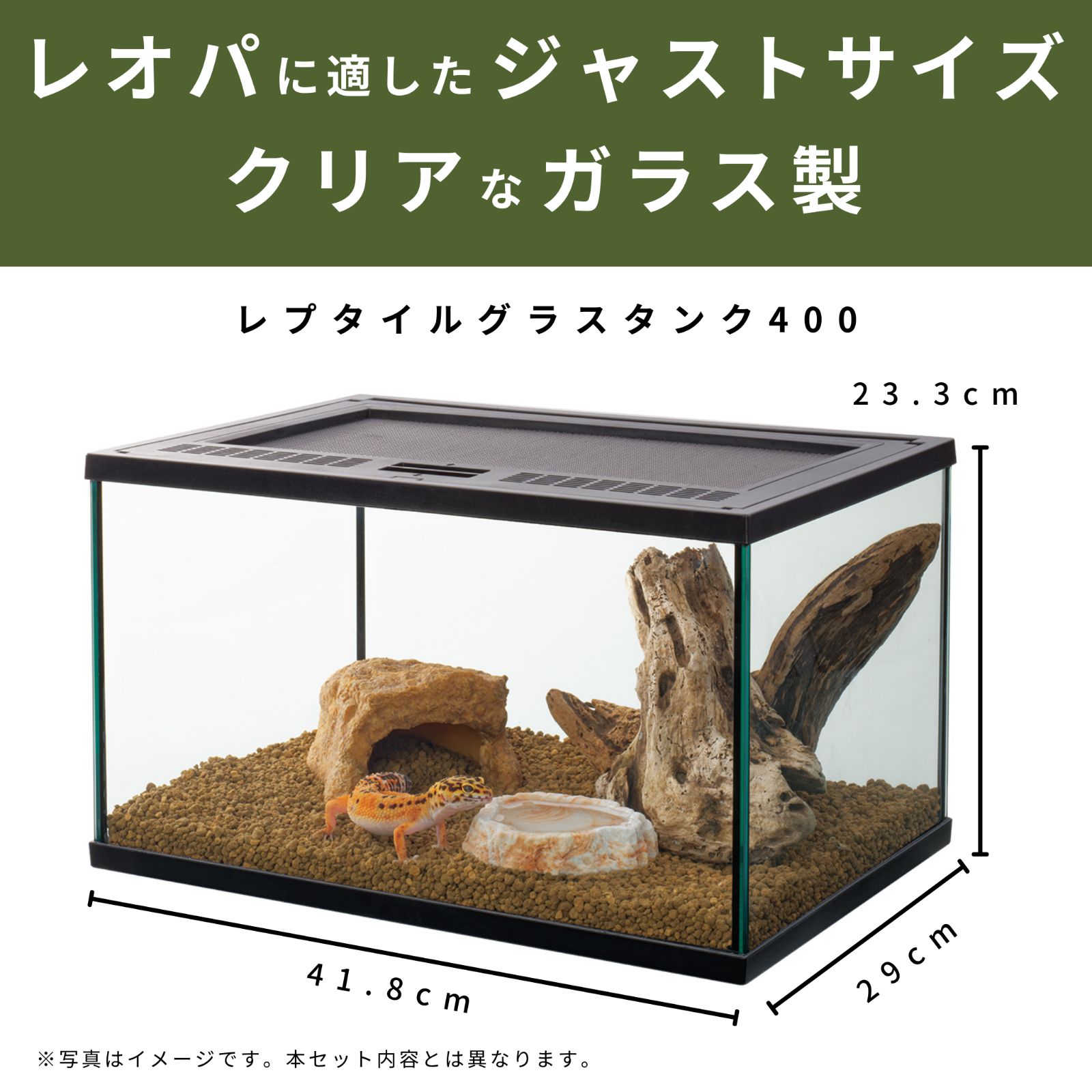 REPTI WILD 爬虫類飼育ケージ 都内(東部)、千葉(都内より)限定 REPTI