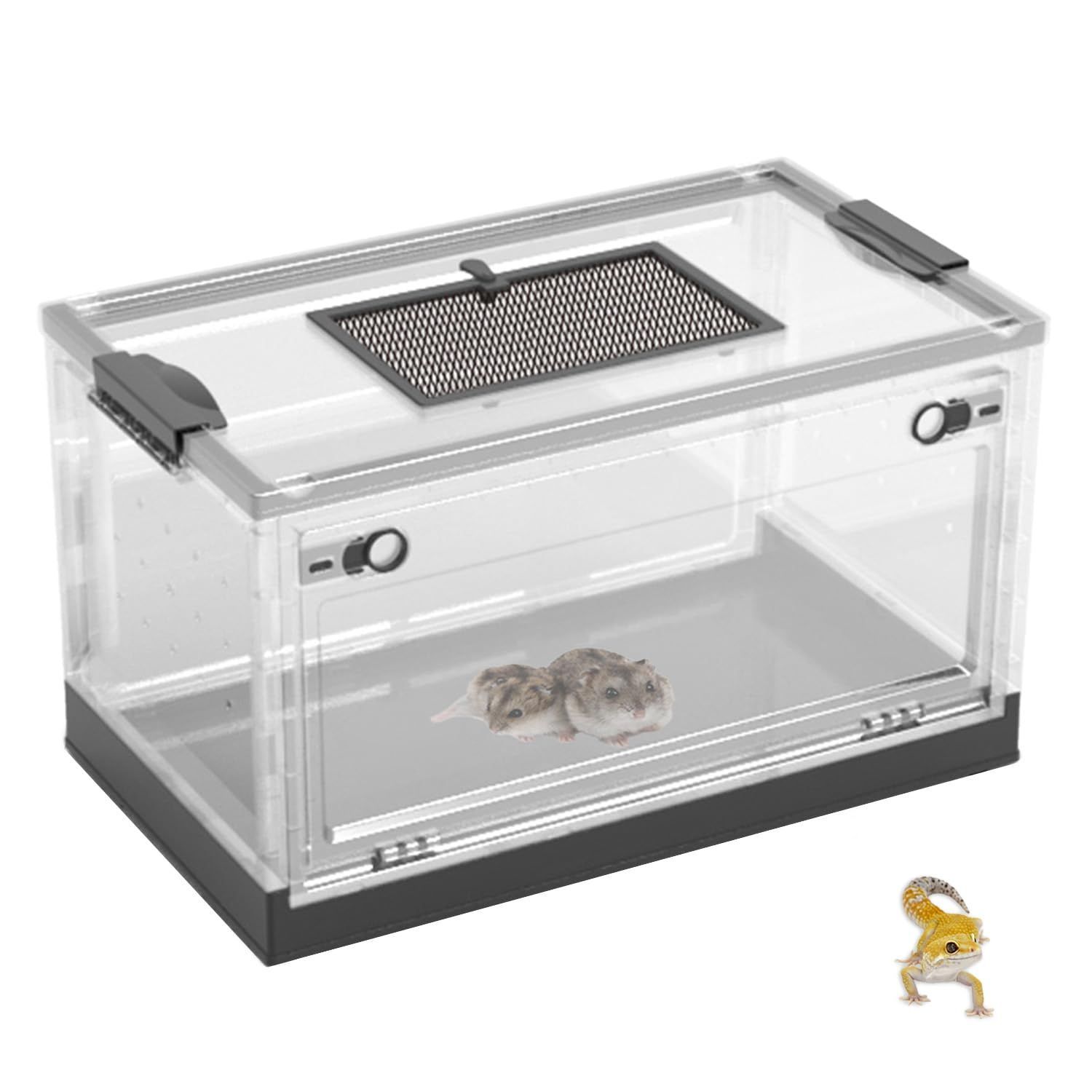 KAYUSO ガラス飼育ケージ 50x30x35 cm KAYUSO ガラス飼育ケージ