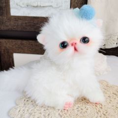 エキゾチックロングヘア子猫ちゃん♡アートドール♡ぬいぐるみ♡大きめ