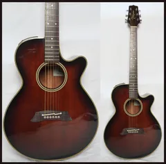 2026年最新】Takamine PT-106の人気アイテム - メルカリ