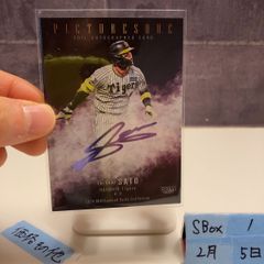 2024 BBM 木村沙織 24/50 バレーボール日本代表 First Pitch 始球式