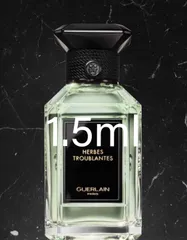 2026年最新】ゲラン エルブトゥルブラントの人気アイテム - メルカリ