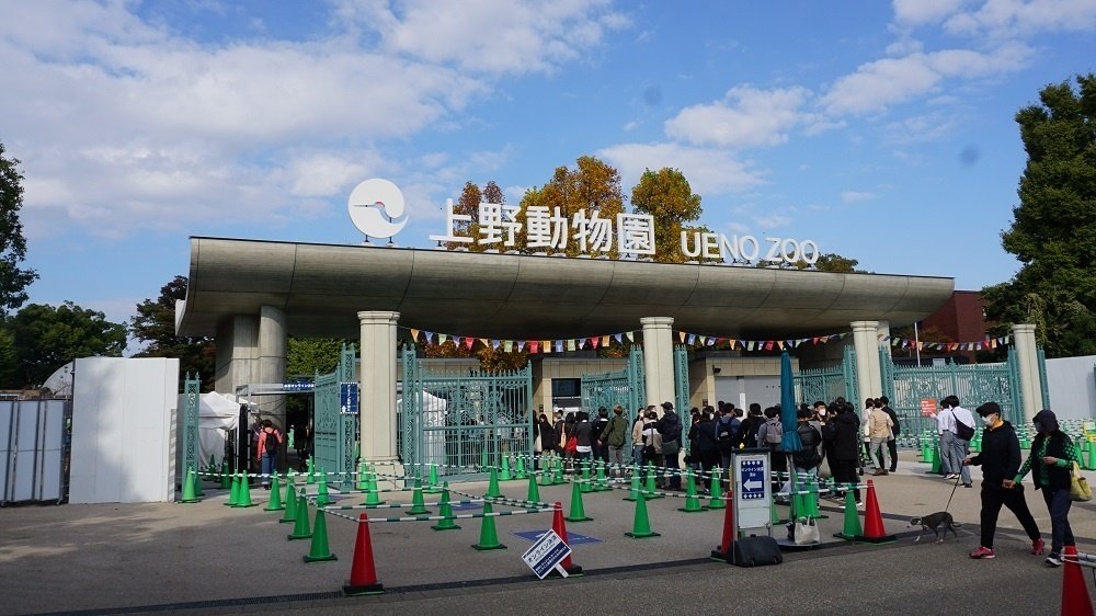 エンジニアと巡る上野動物園の裏側 来場者も動物たちも喜ぶ環境へ｜工