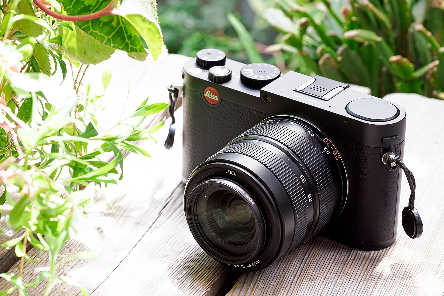 その名はライカ。｜FlatWest_HADO