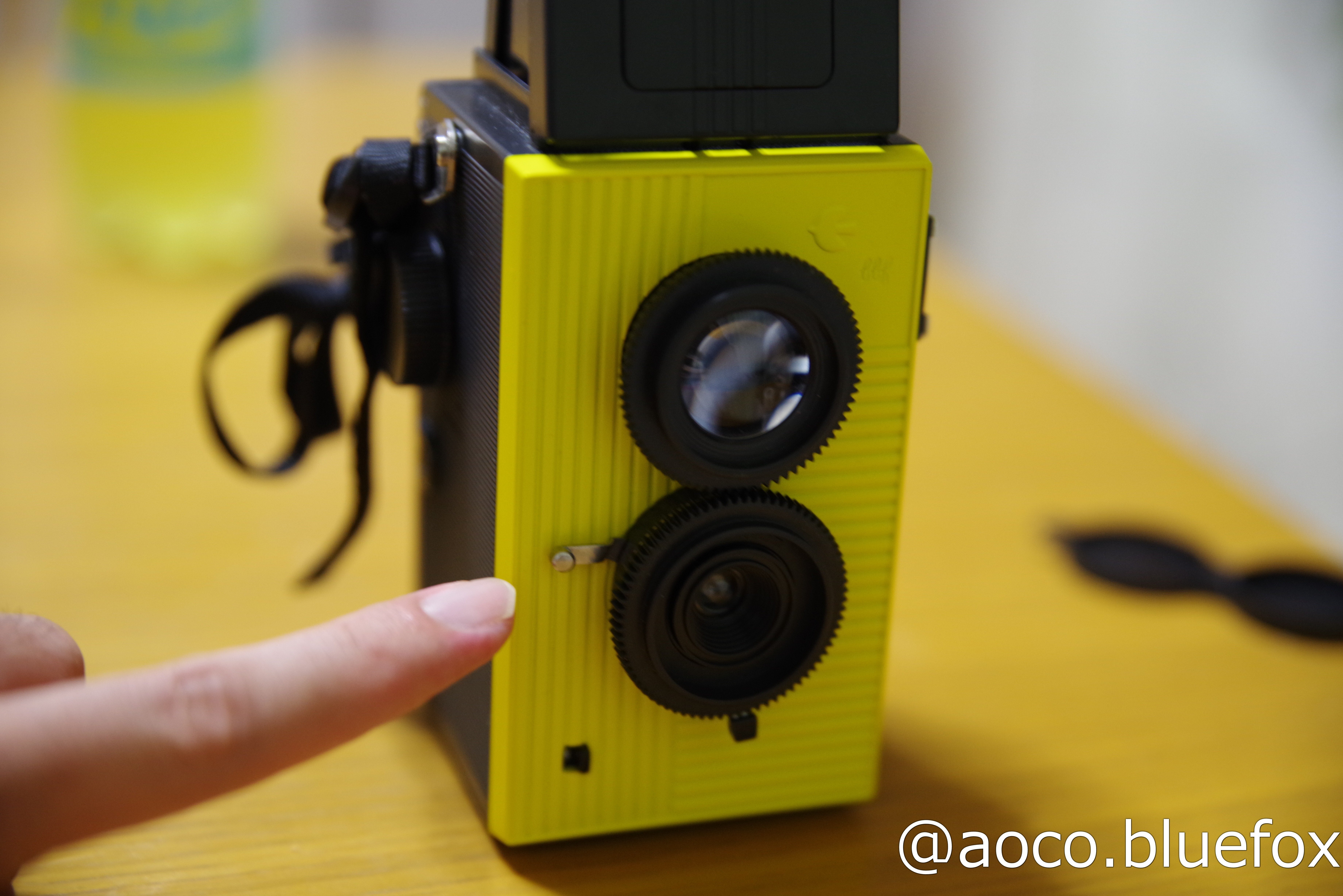 フィルムカメラに思いを馳せて その1:Blackbird,Fly｜青狐