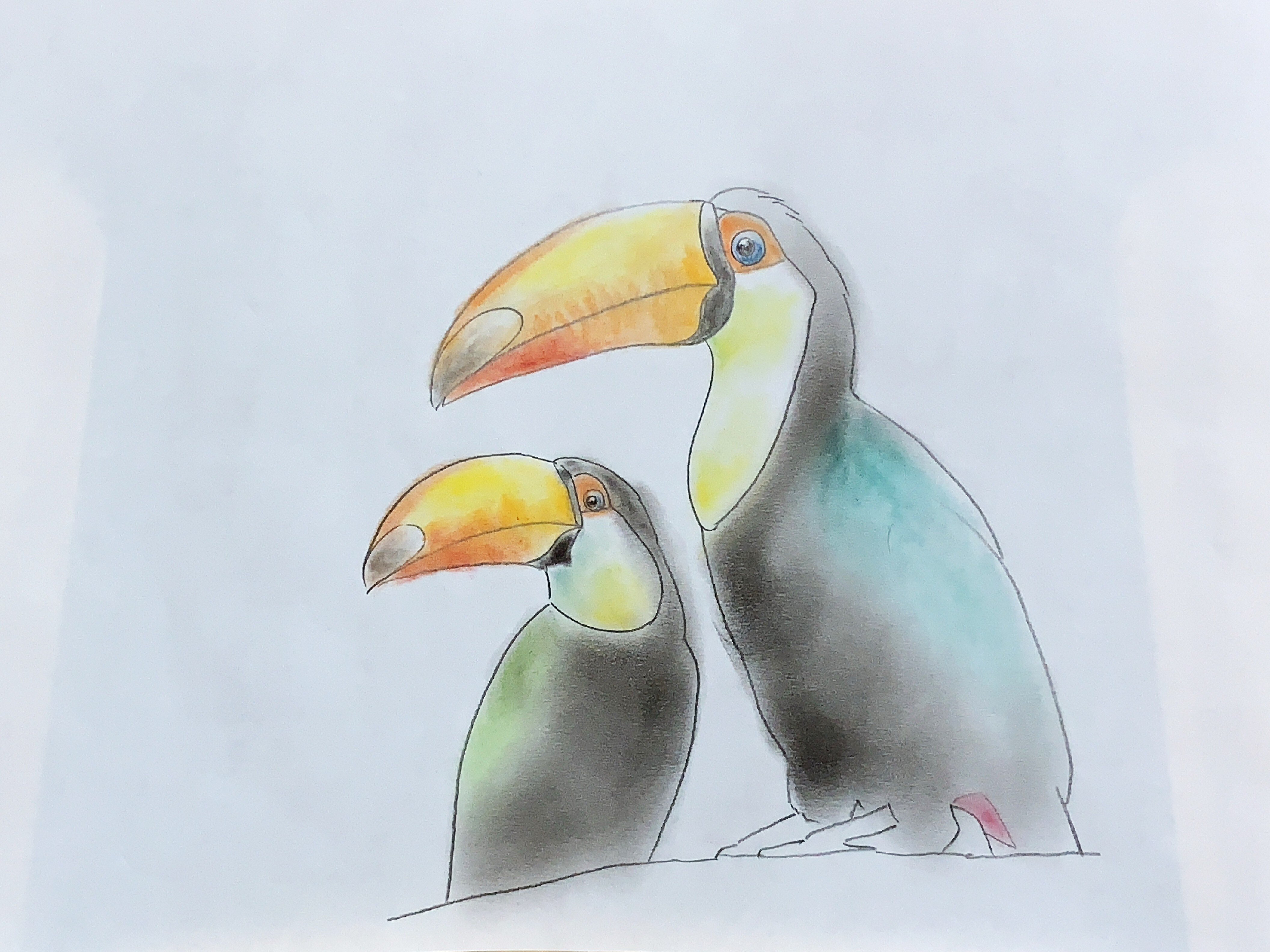 パステル画作品集]鳥にも色々ありまして｜てぃーが Pastel Artist